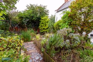 Garden- click for photo gallery